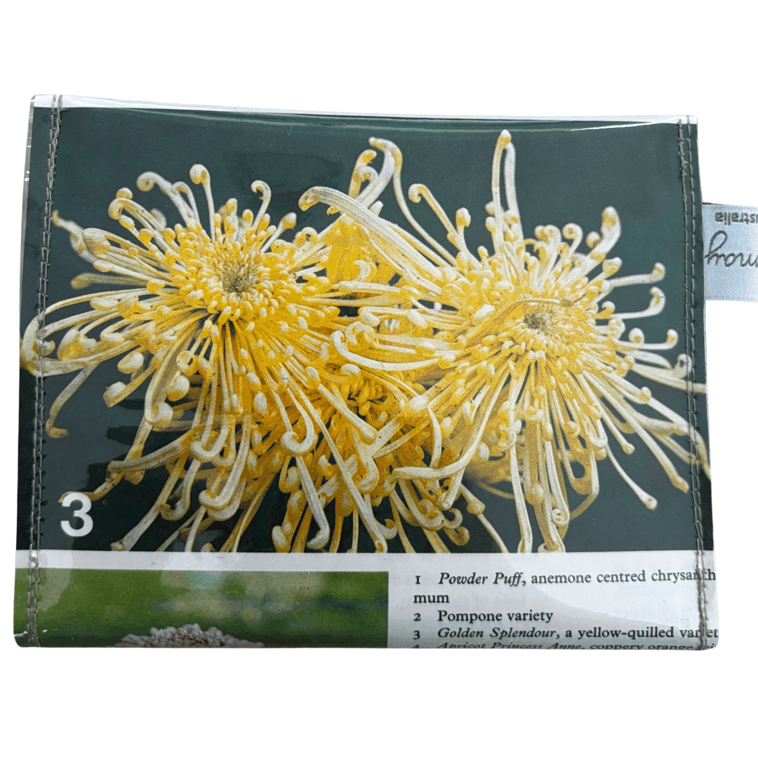 Vintage Garden Book Compact Wallet - Chrysanthemum