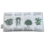 Lyssy May handmade wallet featuring pages from a vintage gardening book. Back view showing indoor plant illustrations.