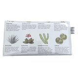 Vintage Garden Book Wallet - Illustrated Succulents